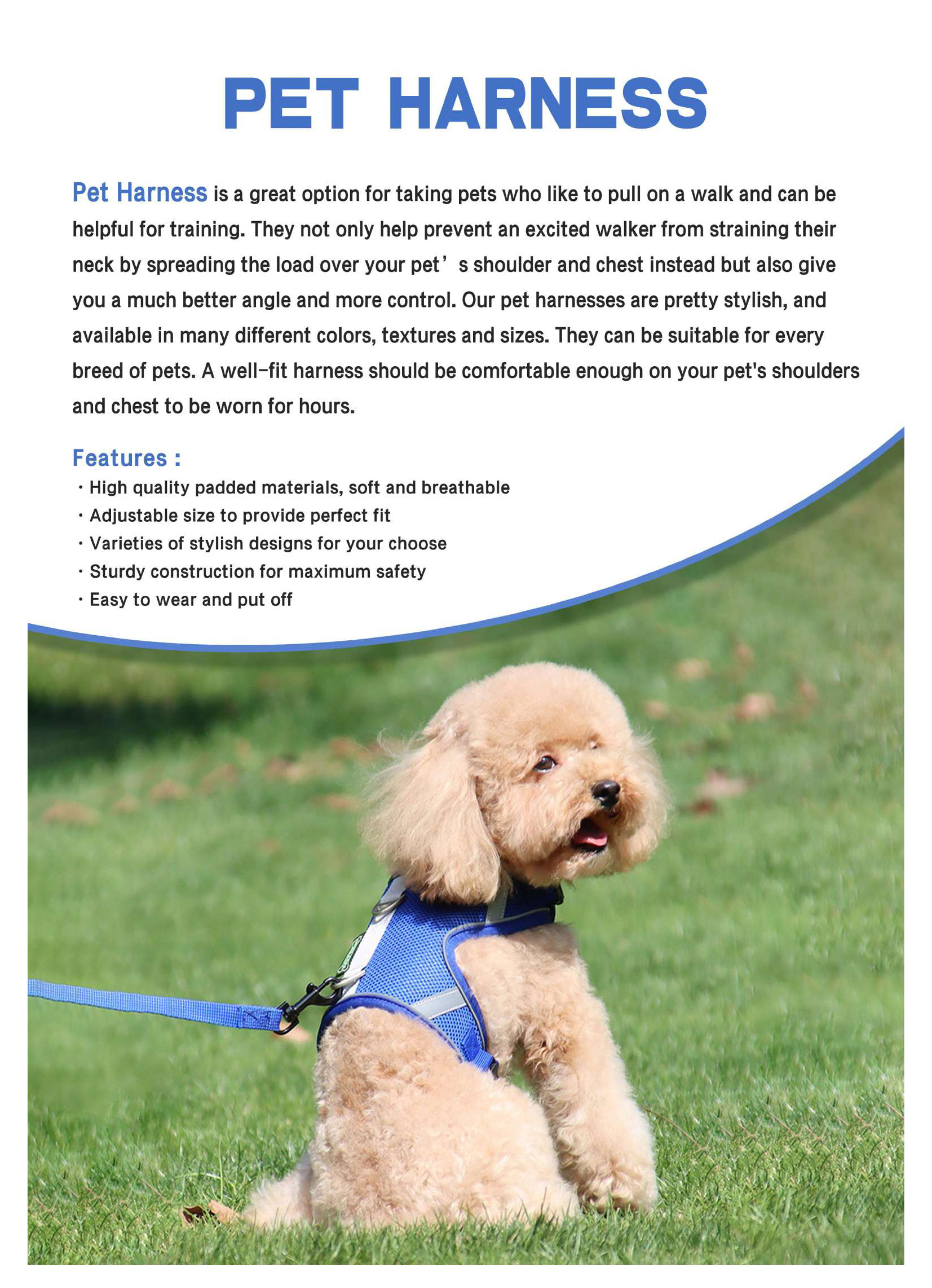 image014(001) image014(001)